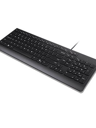 Teclado Lenovo Essential USB cableado 1.8m negro