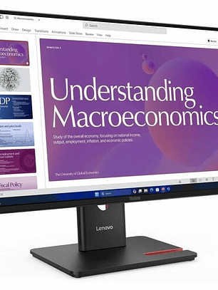 Monitor Lenovo 23.8 FHD IPS 4ms 99% sRGB VESA