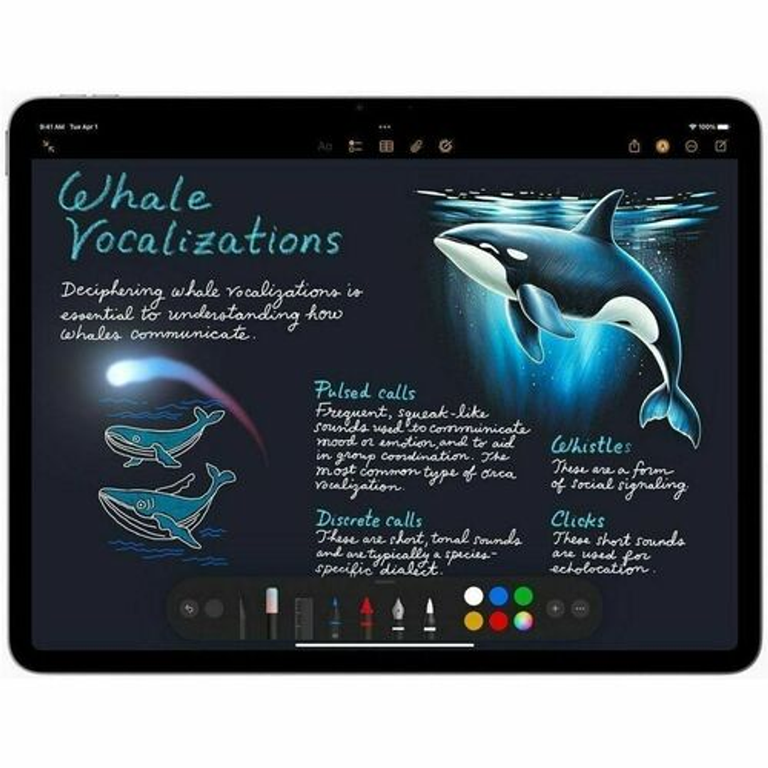 Apple iPad Air 13 M3 128GB 8GB Gris 2025 2