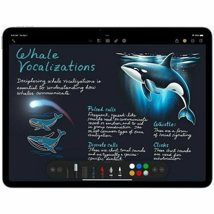 Apple iPad Air 13 M3 128GB 8GB Gris 2025 2