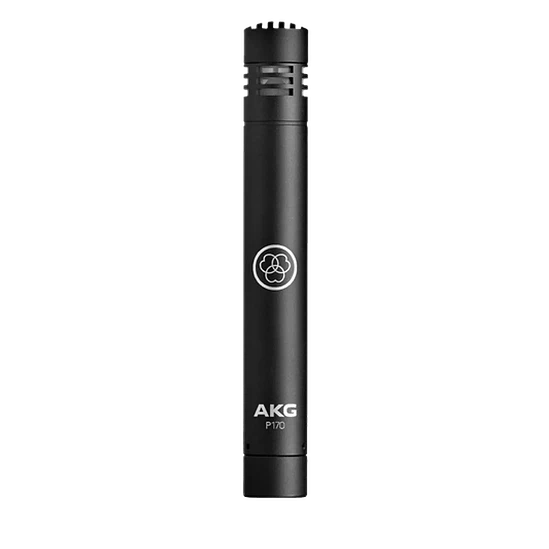 Micrófono AKG P170 Condensador Instrumentos 1