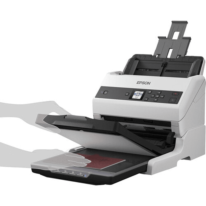 Escáner Epson WorkForce DS-970 Duplex 85ppm ADF 100 hojas 5