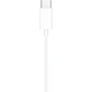 Audífonos Apple EarPods USB-C con Micrófono y Control Integrado - Miniatura 3