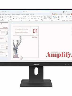 Monitor Lenovo ThinkVision E24-40 24