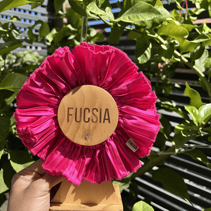 Ruffled fucsia 2