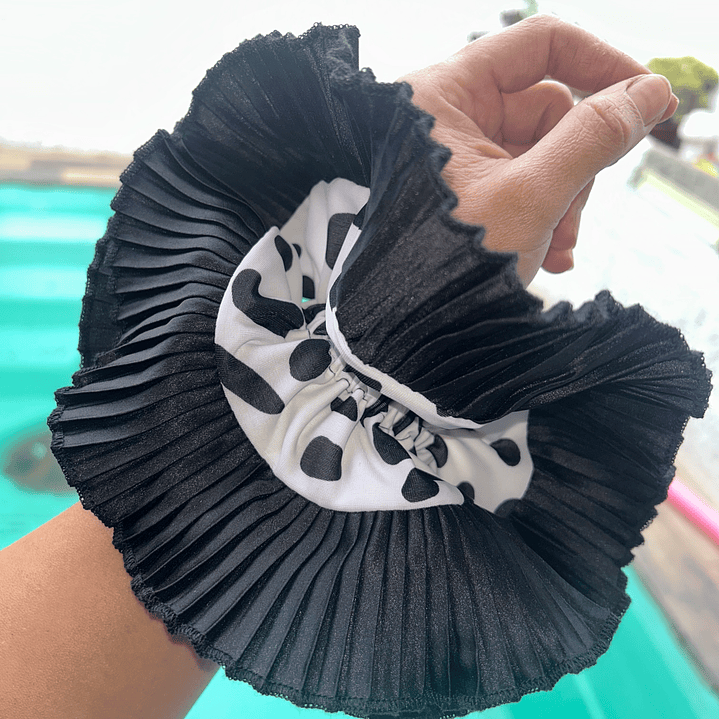 Emilia plus dalmata 3