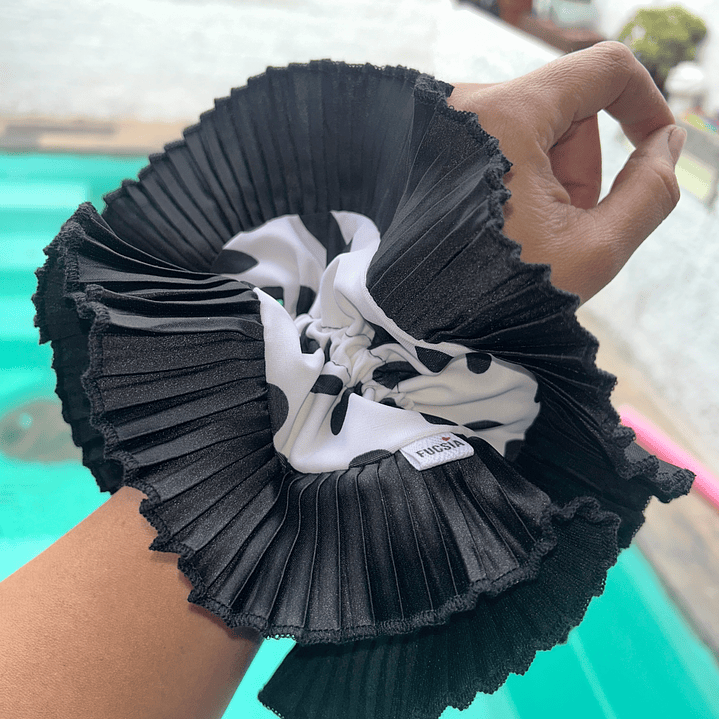 Emilia plus dalmata 1