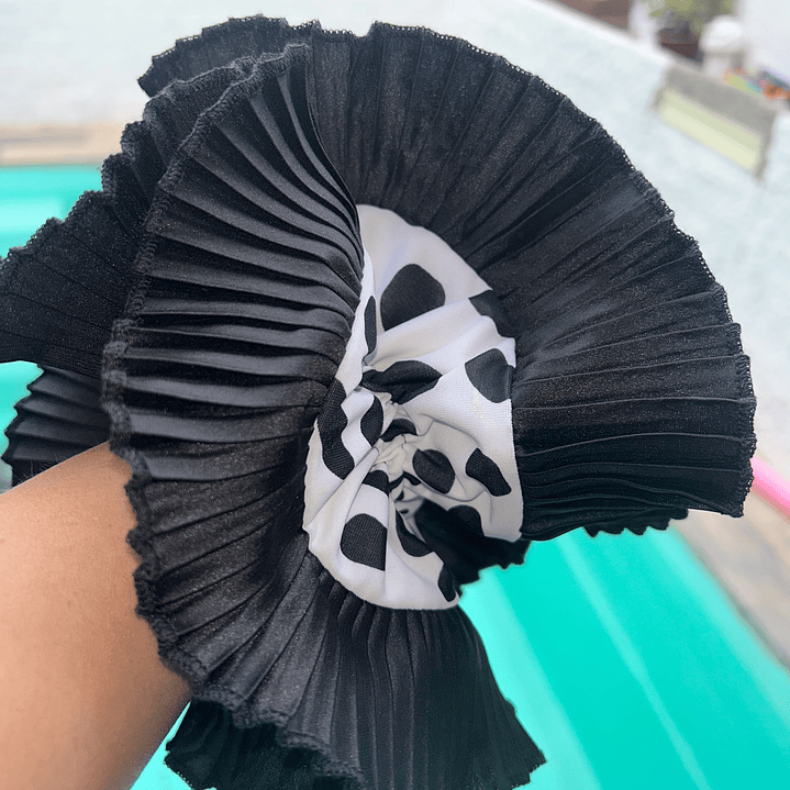 Emilia plus dalmata 2