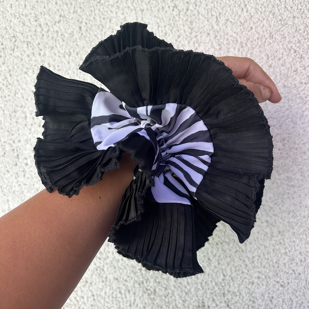 Emilia plus cebra  1