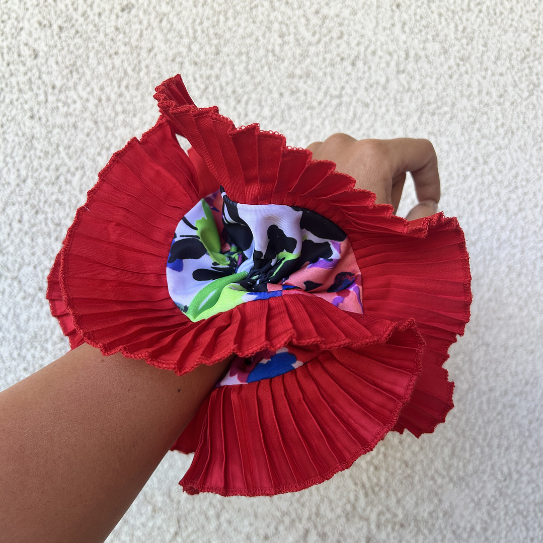 Emilia plus roja diseño 1