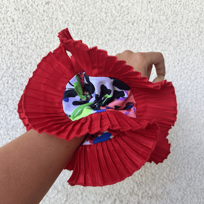 Emilia plus roja diseño 1