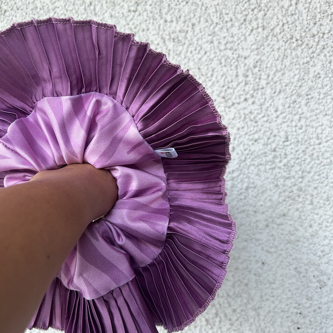 Josefina II cebra  1