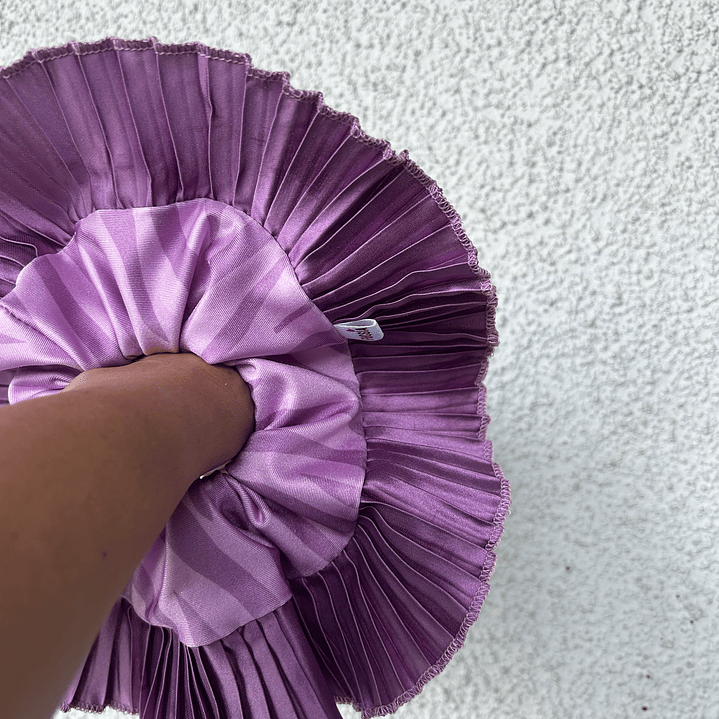 Josefina II cebra  1