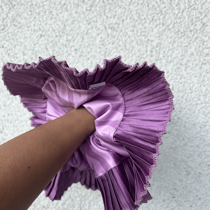 Josefina II cebra  2