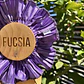 Ruffled pack 12 - Miniatura 12