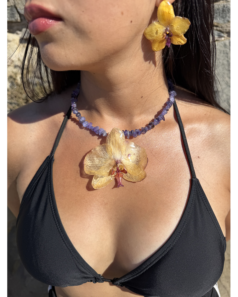 Después de la playa 