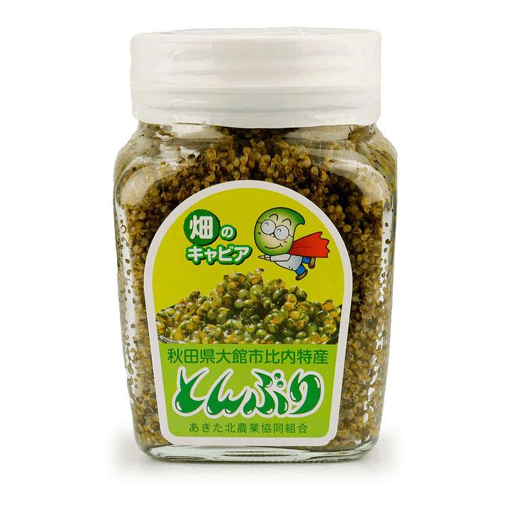 Kochia Scoparia Tonburi Says 