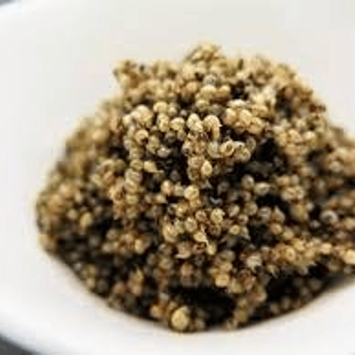 Kochia Scoparia Tonburi Says 