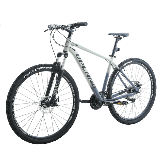 Bicicleta Upland X90-29 Gris Talla 19 - Aro 29