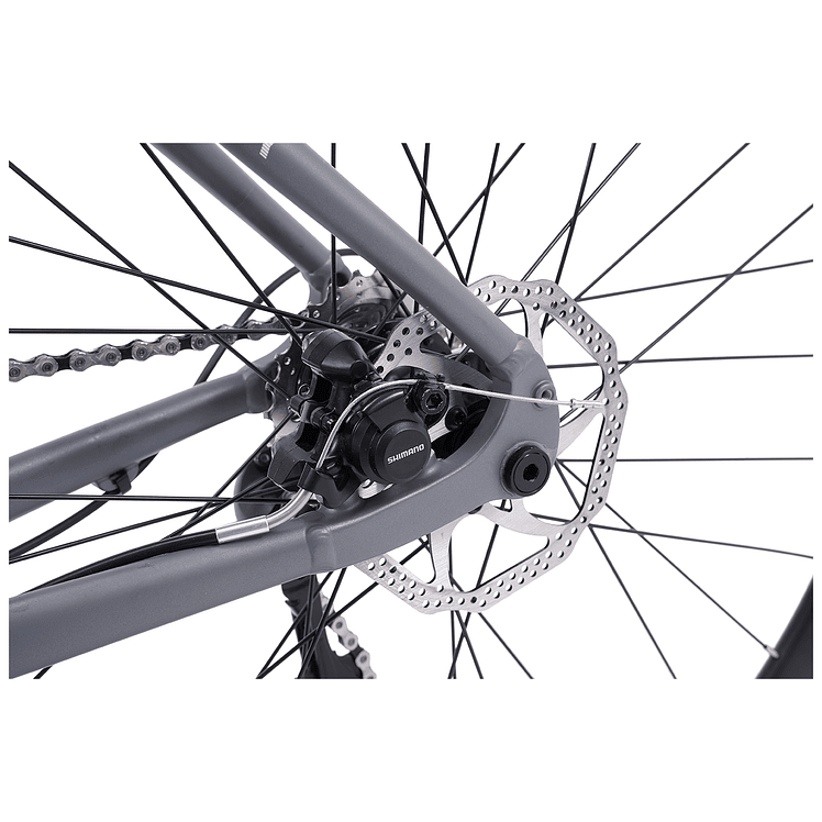 BICICLETA RALEIGH RUTA ETERNITY FULL TIAGRA 6