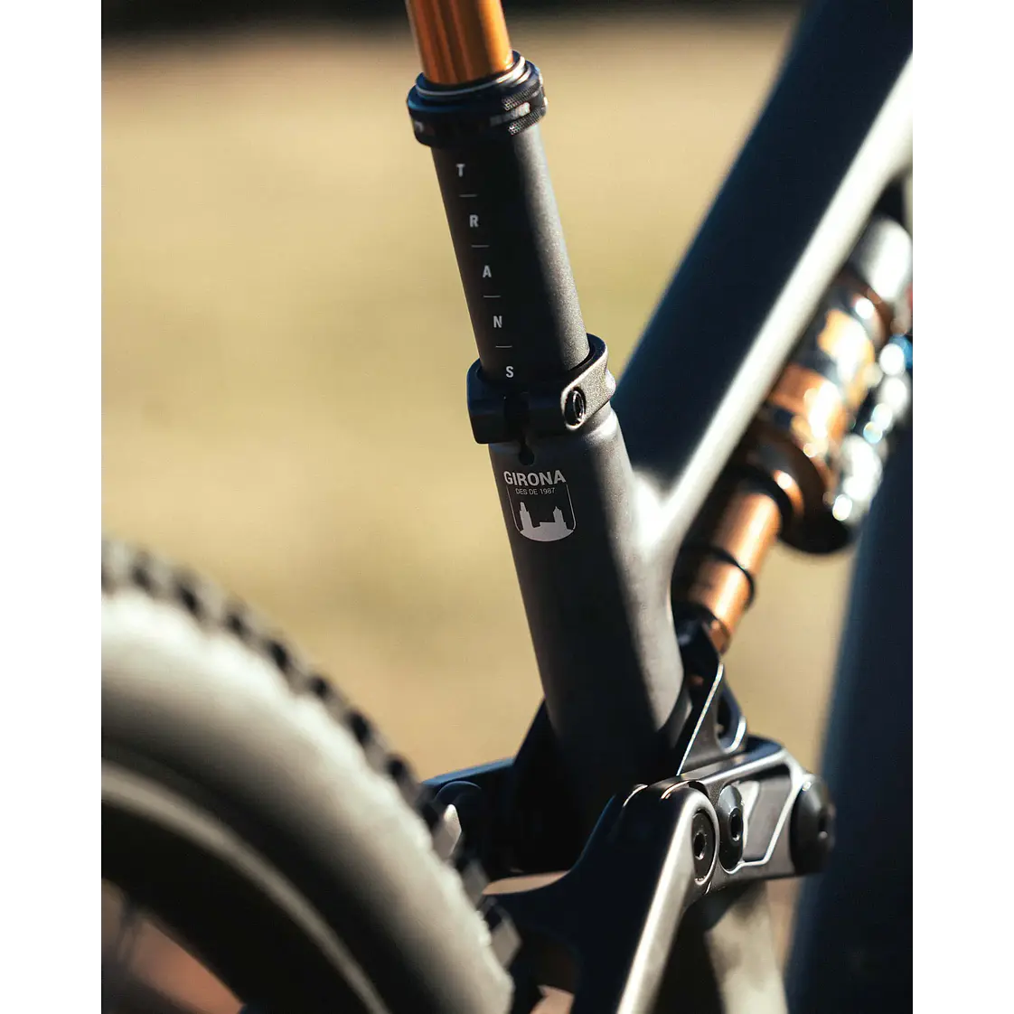 BICICLETA MEGAMO REASON CRB 01 - GARNET UD 4