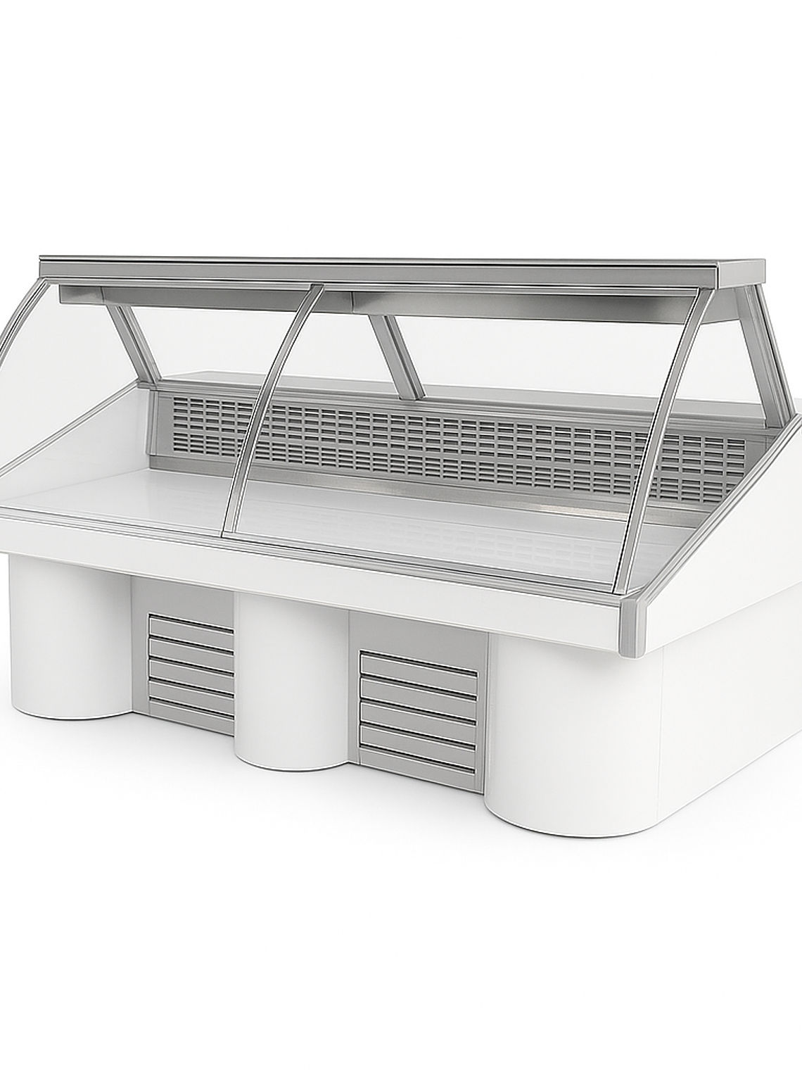 Vitrina Carnicera 2.5M G&T (VENTA A PEDIDO) 1