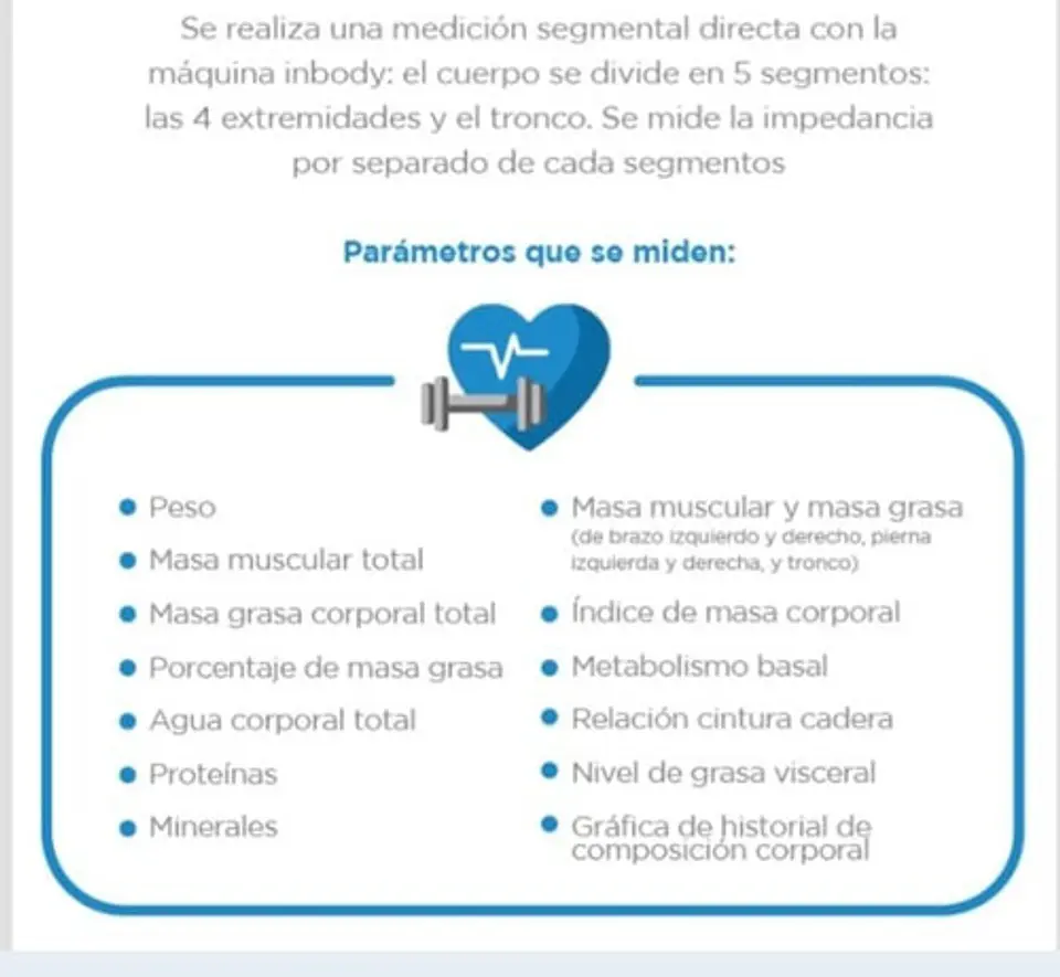Bioimpedancia Santiago De Chile Examen Inbody Full Saludable 3