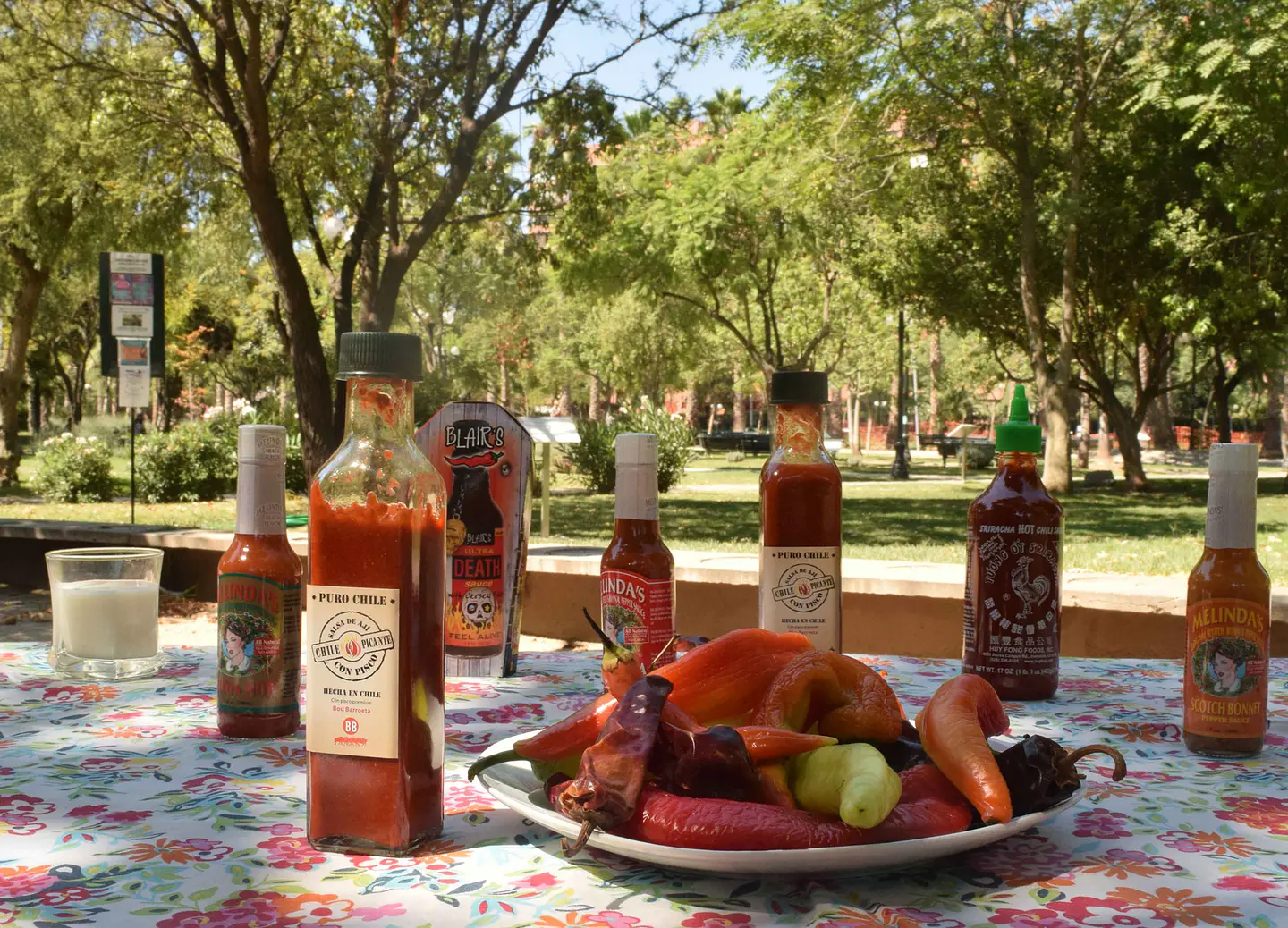 Chile Picante, Ajíes del Mundo