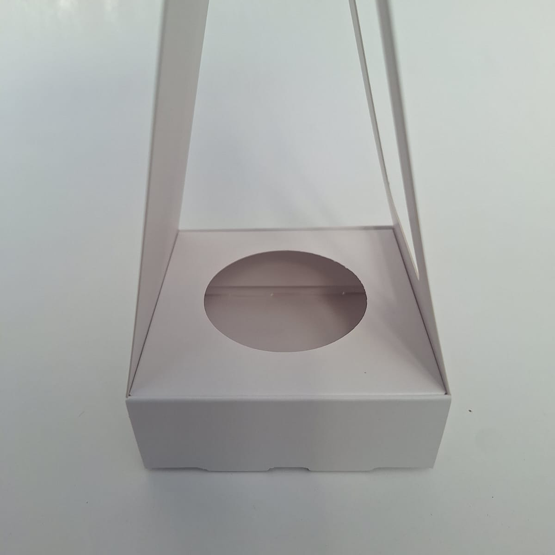 Caja Suculenta Individual S 2