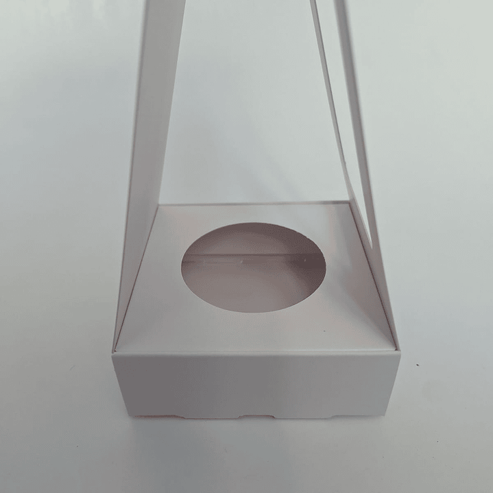 Caja Suculenta Individual S 2