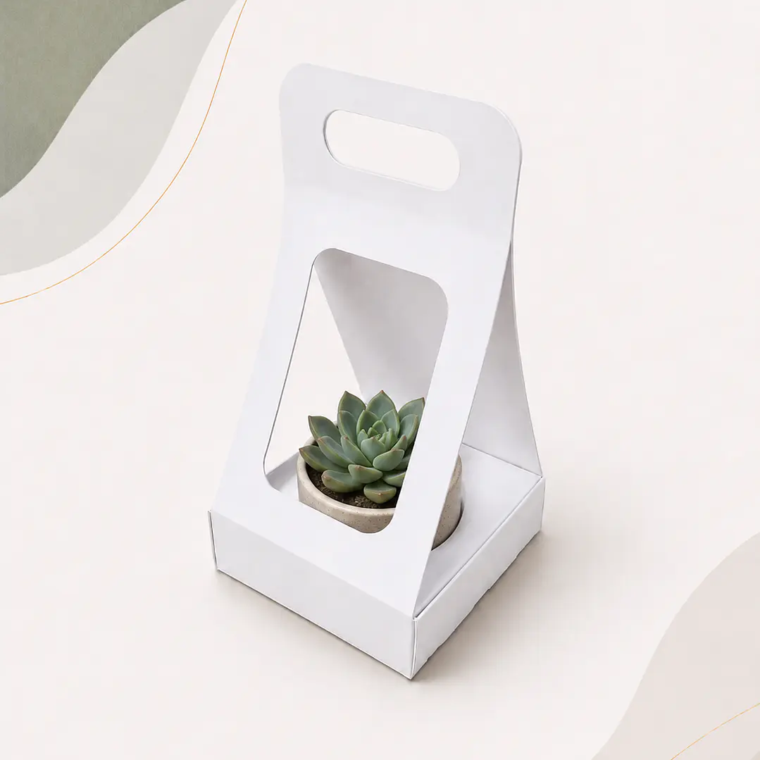 Caja Suculenta L 1