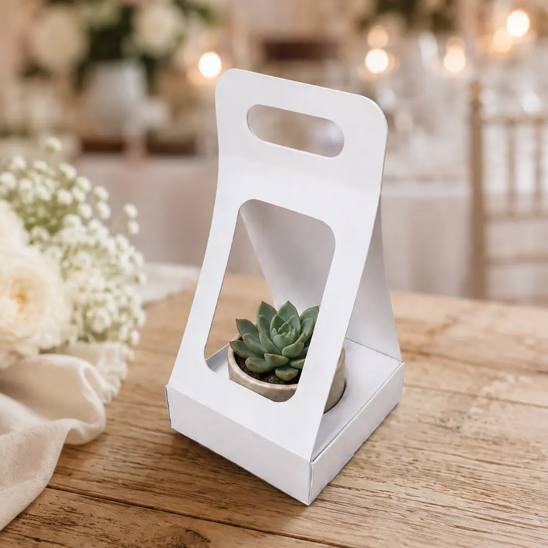 Caja Suculenta L 2