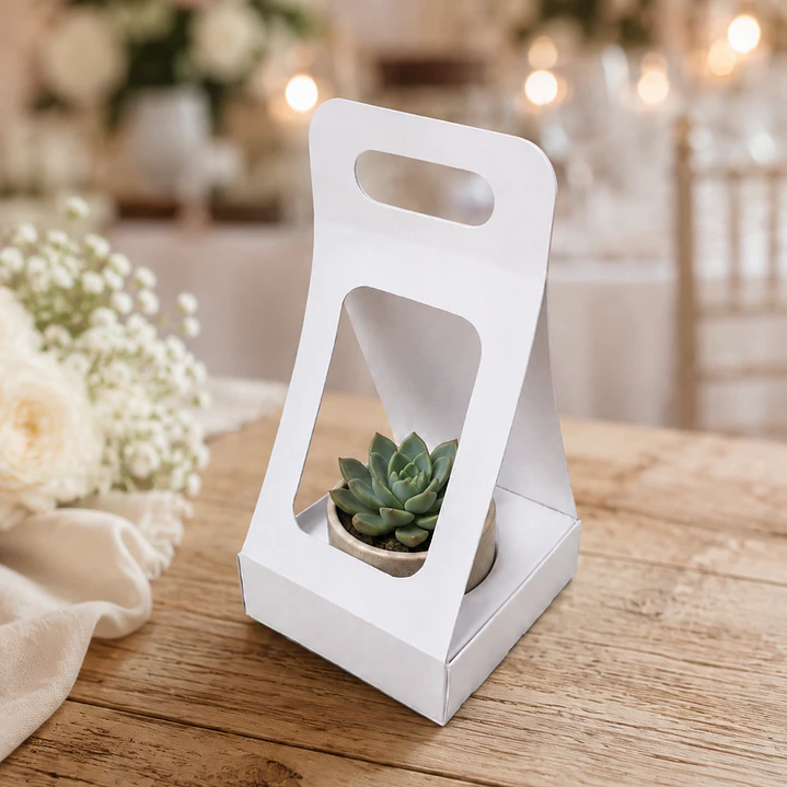 Caja Suculenta L 2