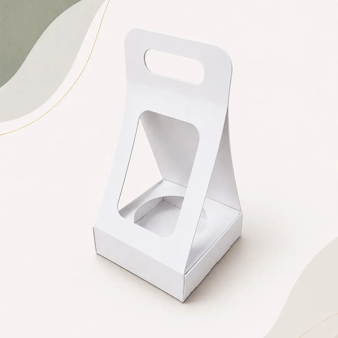 Caja Suculenta L 3