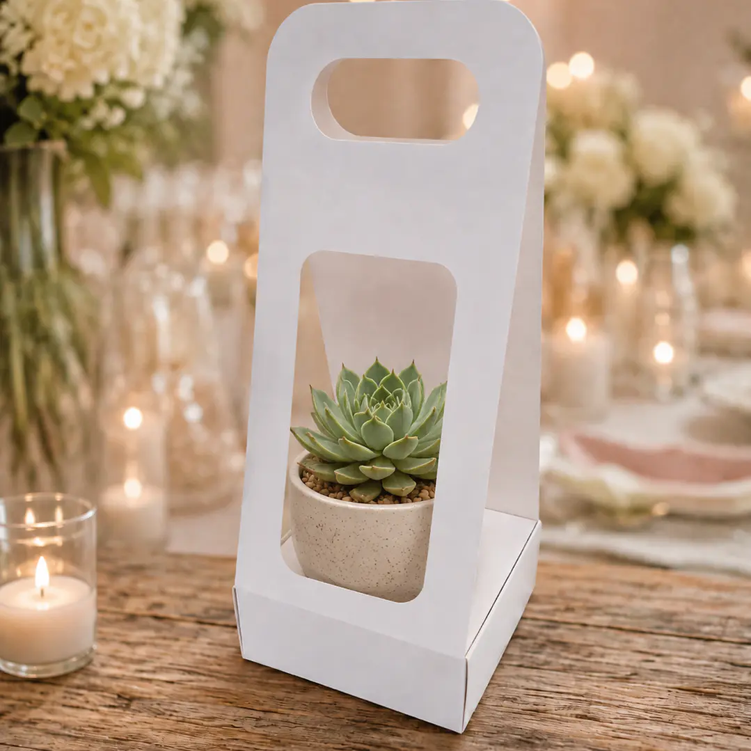 Caja Suculenta S 3