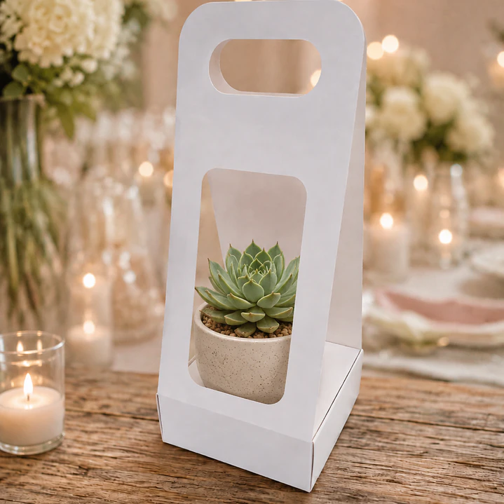 Caja Suculenta S 3