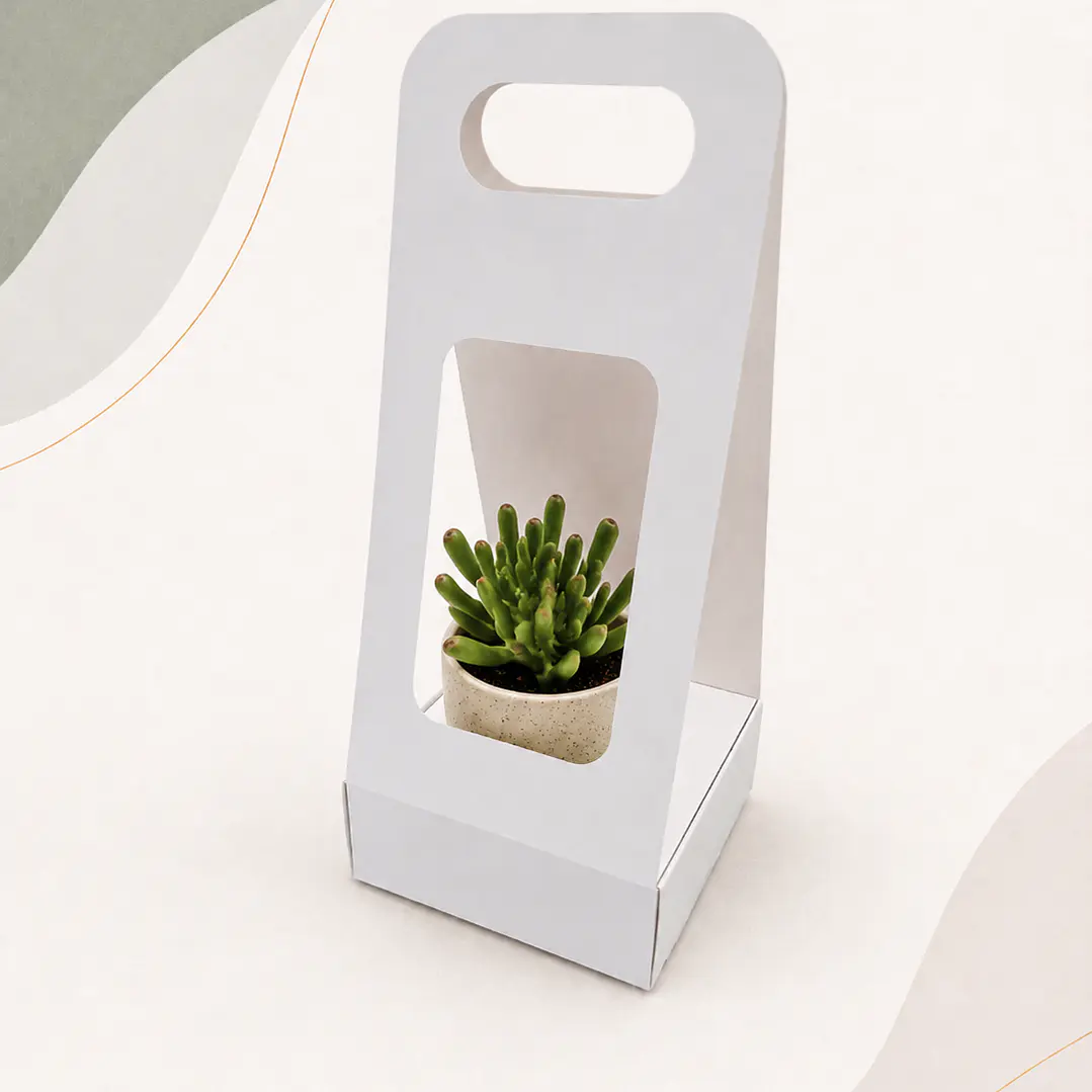 Caja Suculenta S 1