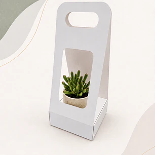 Caja Suculenta S