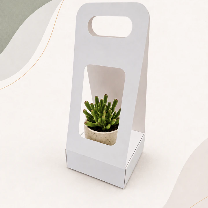 Caja Suculenta S 1