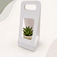 Caja Suculenta S - Miniatura 1
