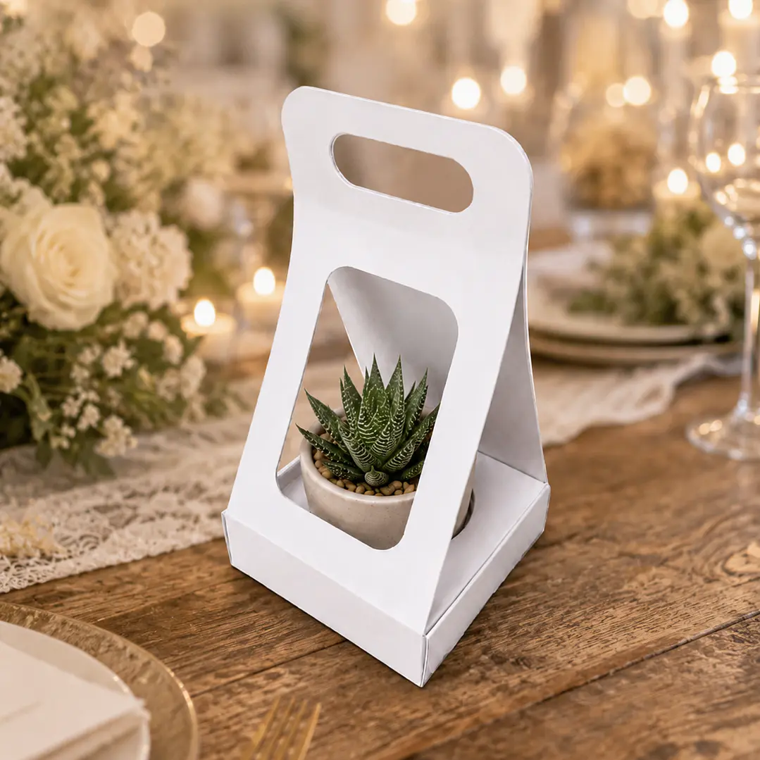 Caja Suculenta M 3