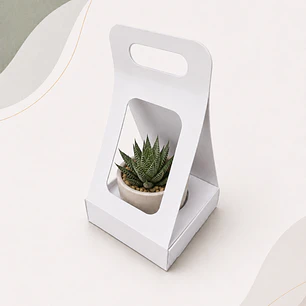Caja Suculenta M