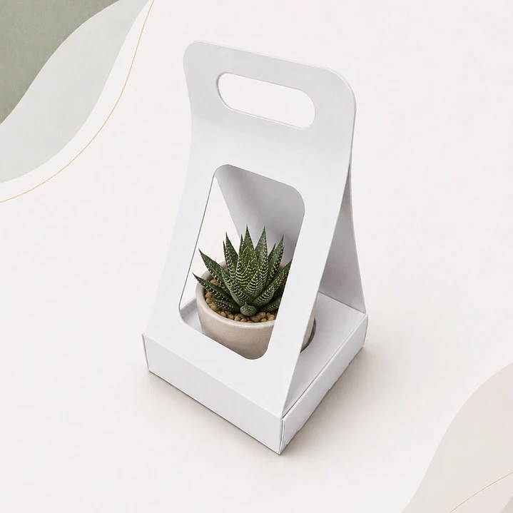 Caja Suculenta M 1