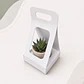 Caja Suculenta M - Miniatura 1