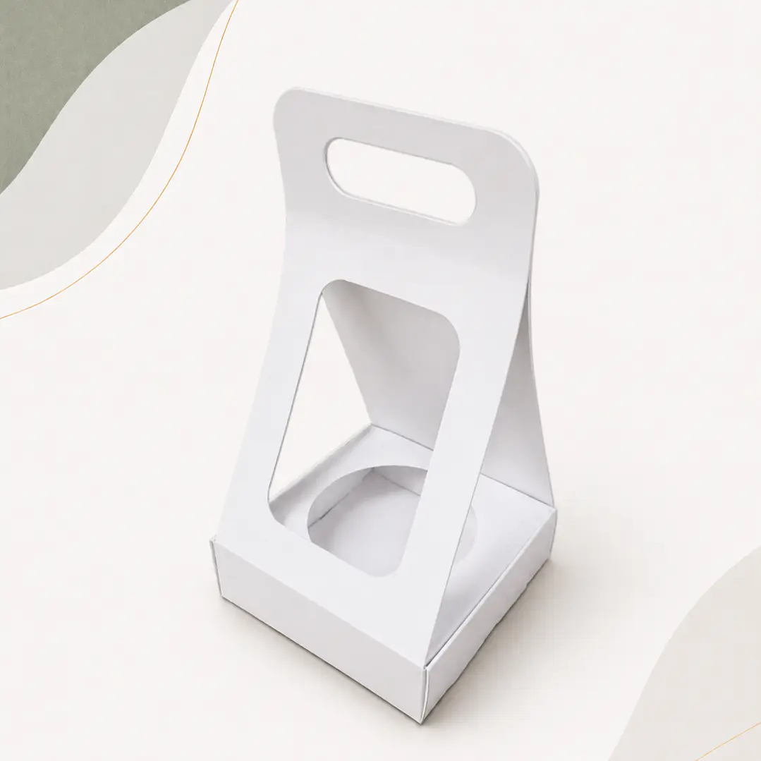 Caja Suculenta M 2