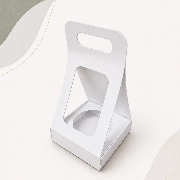 Caja Suculenta M 2