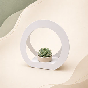 Suculenta circular