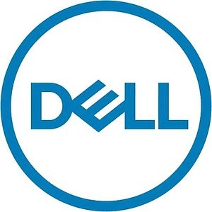 Dell - Kit del cliente - SSD - Read Intensive - 3.84 TB - hot-swap - 2.5