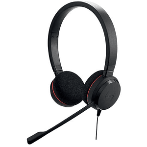 Jabra Evolve 20 Duo MS USB-C/A - Auriculares Estéreo con Micrófono y Cancelación de Ruido