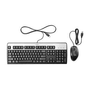 Combo teclado mouse  US Kit USB - BFR
